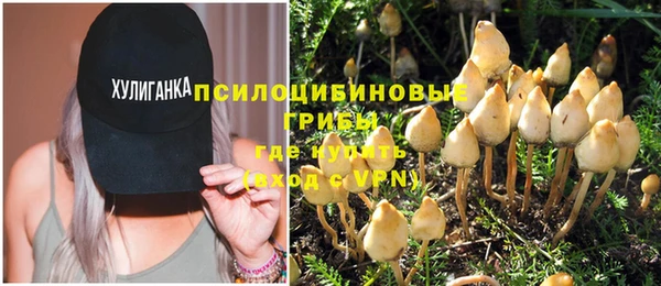 соль курить ск Богородск