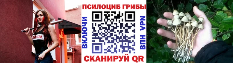 Галлюциногенные грибы мицелий  Кондрово 